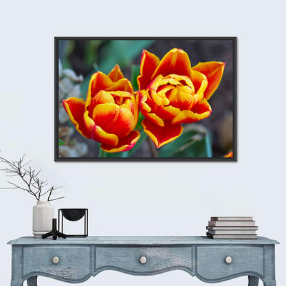 Red Tulips Close-up Wall Art
