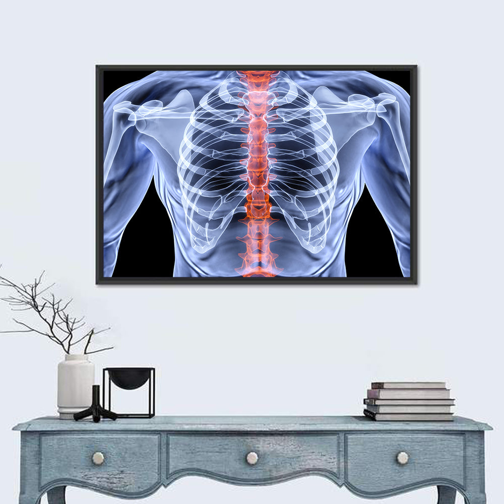 Male Spine X-ray Illustration Wall Art in a room, landscape
