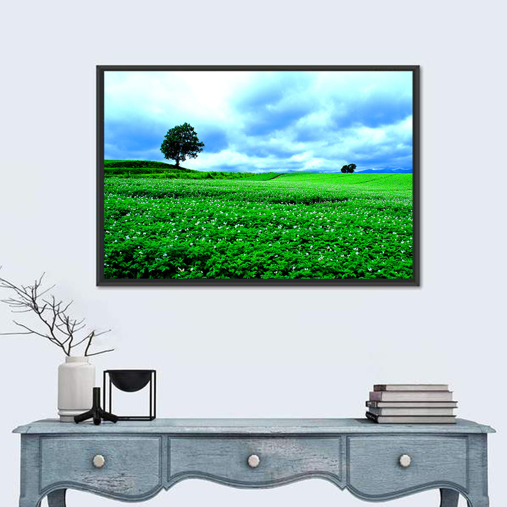 Biei Hill with Lone Tree, Hokkaido Wall Art in a room, landscape