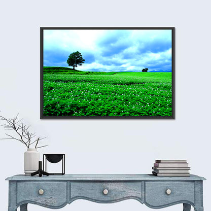 Biei Hill with Lone Tree, Hokkaido Wall Art