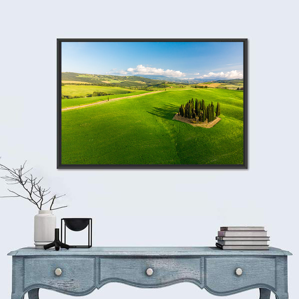 Italian Cypresses on Rolling Hills Wall Art