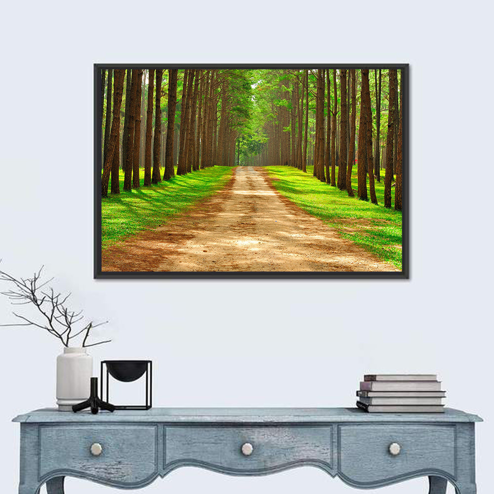 Thailand Pine Forest Path Wall Art