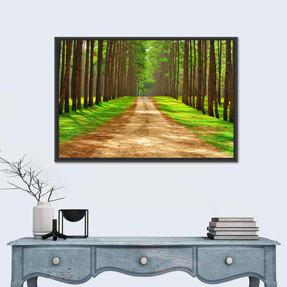 Thailand Pine Forest Path Wall Art