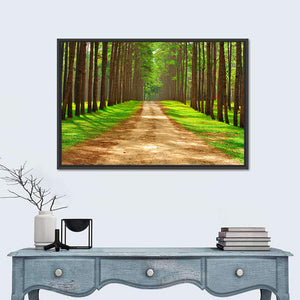 Thailand Pine Forest Wall Art