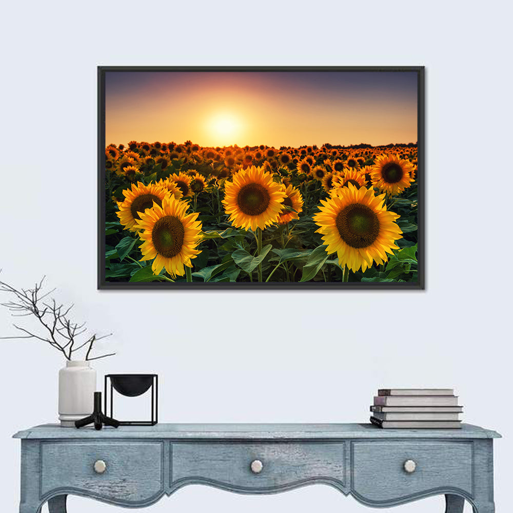 Sunflower Field at Sunset Wall Art