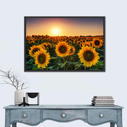 Sunflower Field at Sunset Wall Art
