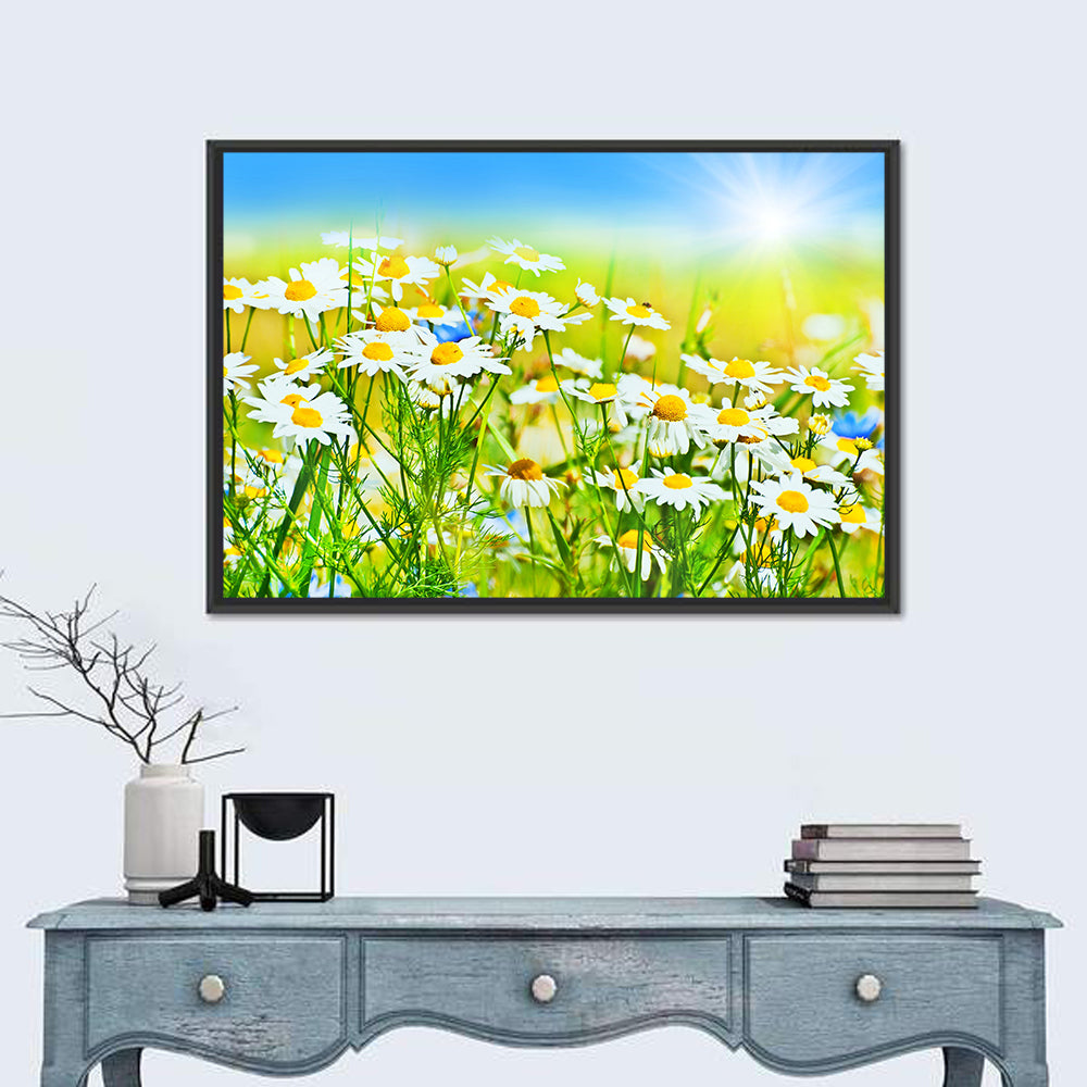 Sunlit Daisy Field Wall Art