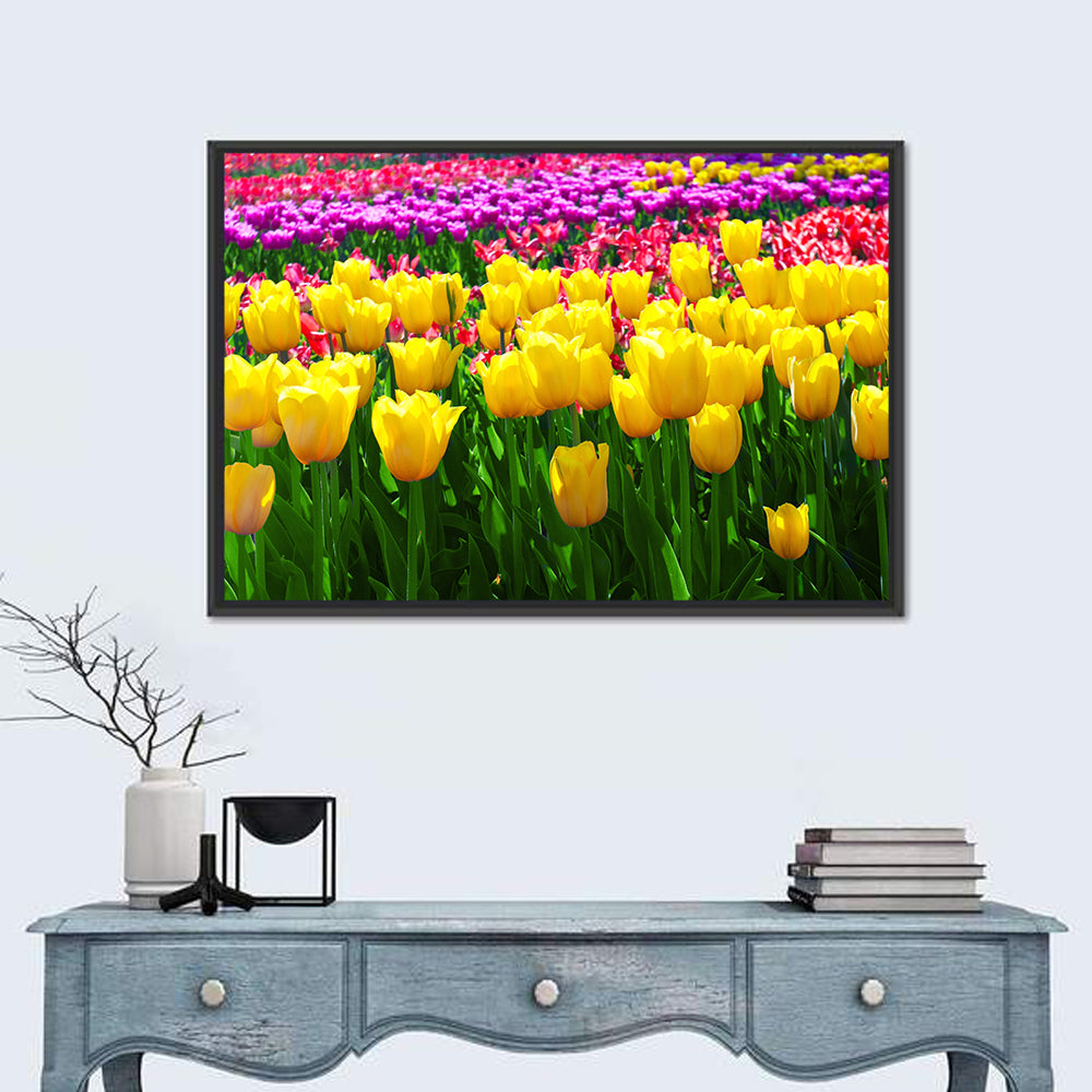 Yellow Tulips in Bloom Wall Art