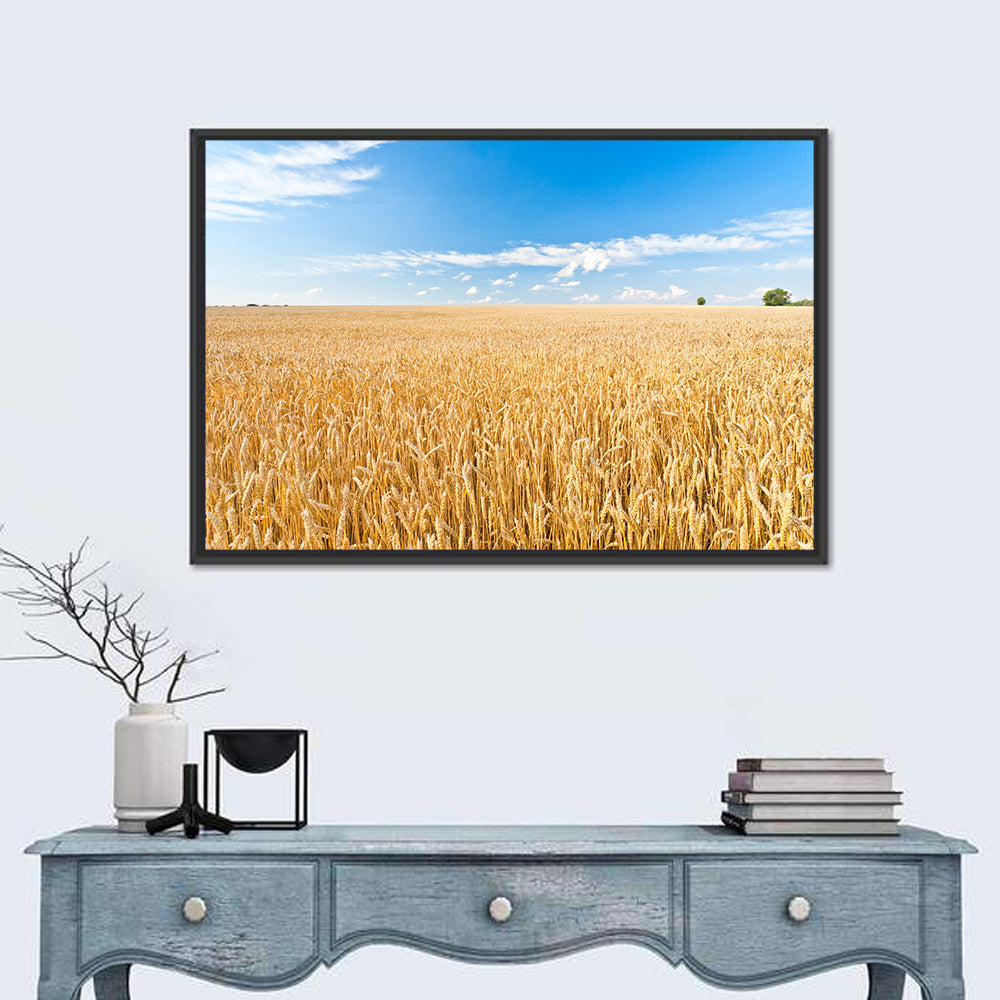Golden Wheat Field with Blue Sky Wall Art in a room, landscape