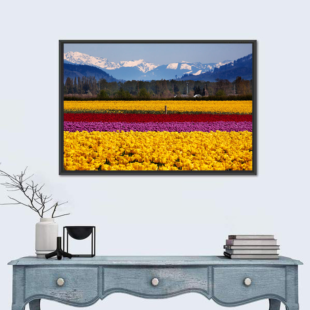 Skagit Valley Spring Daffodils Wall Art