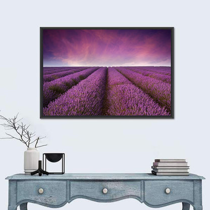 Lavender Field Sunset Wall Art
