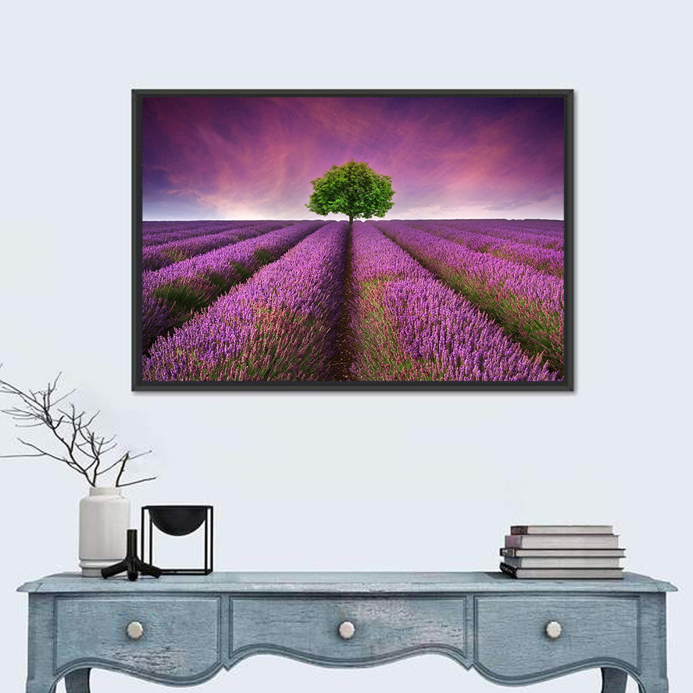 Lavender Field at Sunset Wall Art in a room, landscape