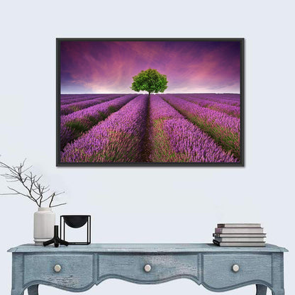 Lavender Field at Sunset Wall Art