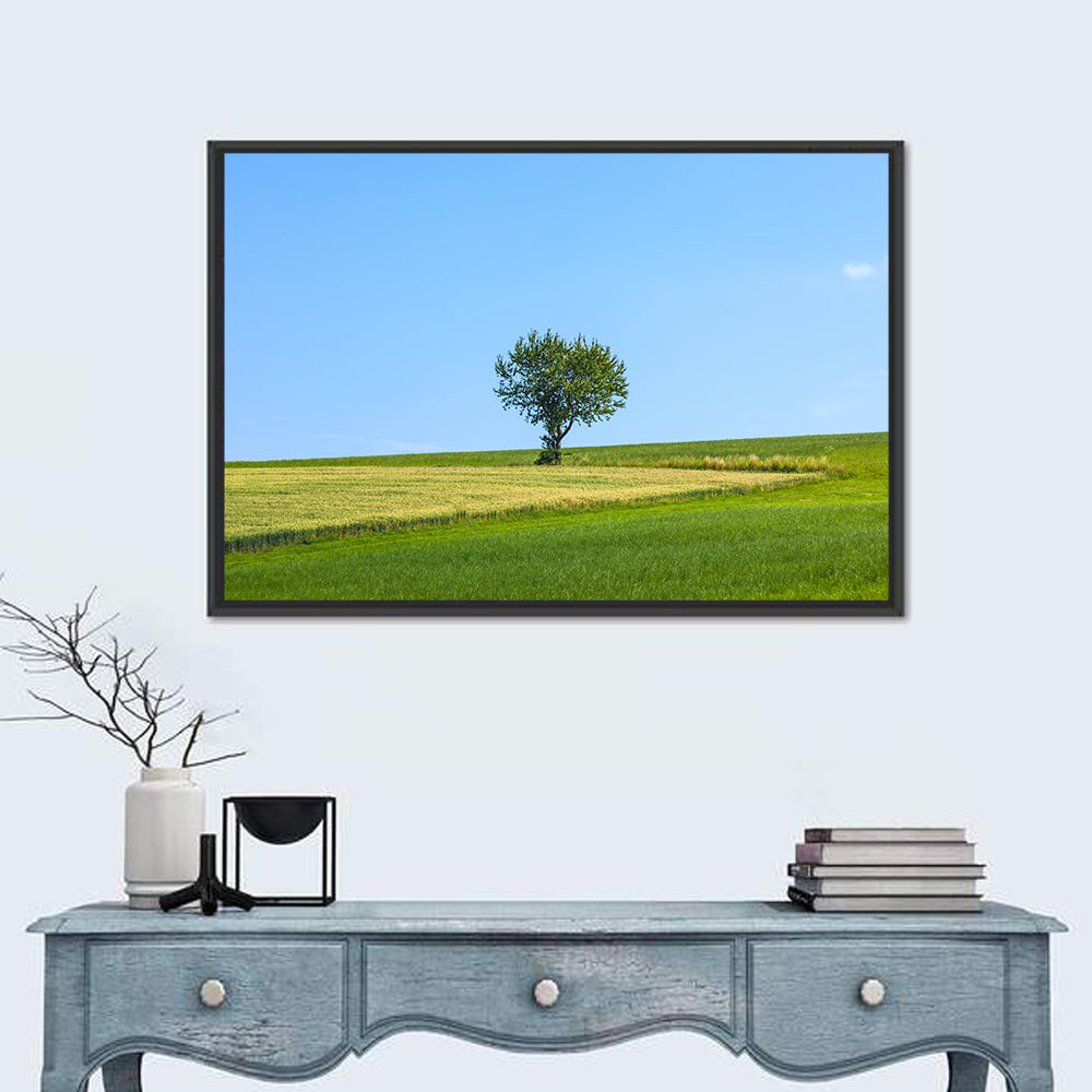 Solitary Tree on Rolling Meadow Wall Art in a room, landscape