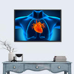 Glowing Heart Anatomy Illustration Wall Art