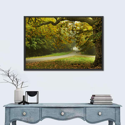 Foggy Autumn Forest Path Wall Art