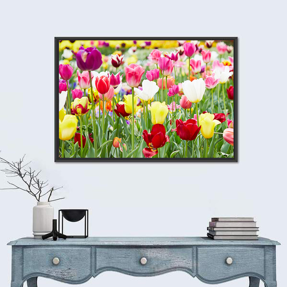 Spring Tulip Close-up Wall Art in a room, landscape