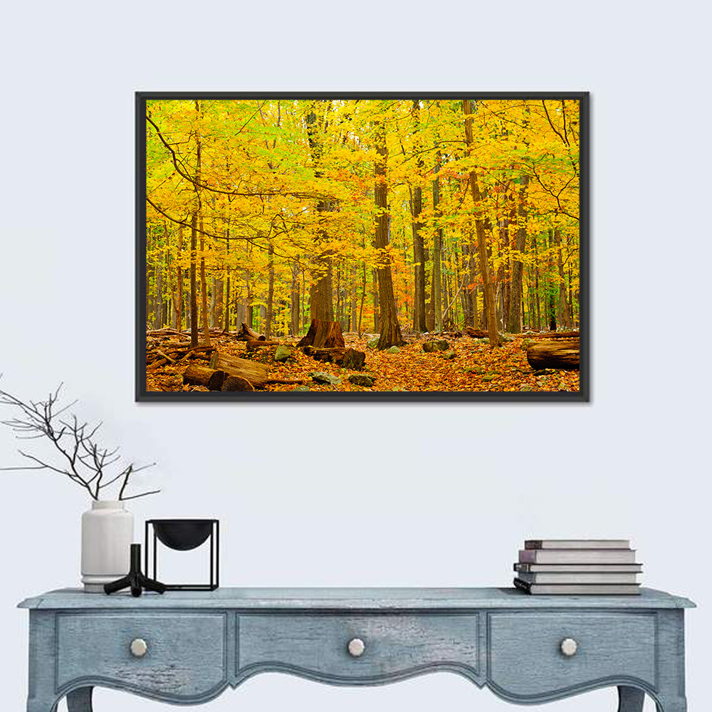 Catoctin Autumn Forest Wall Art
