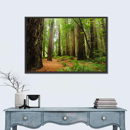 Towering Redwood Canopy Wall Art