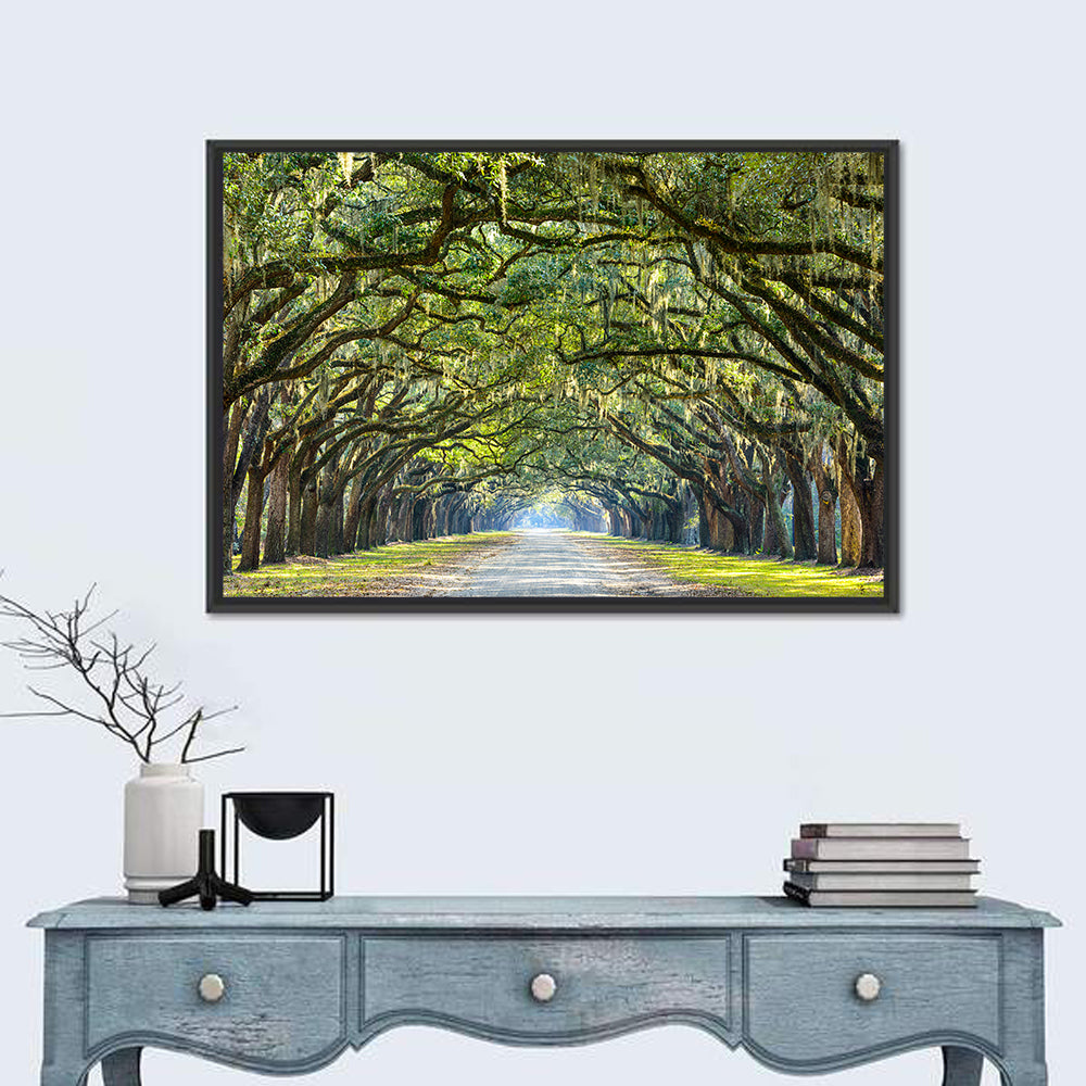 Spanish Moss Oak Alley Wall Art in a room, landscape