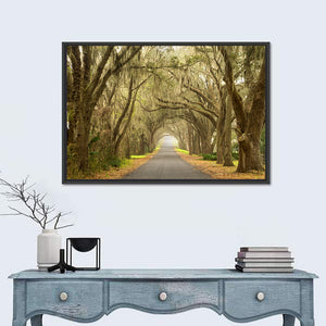 Spanish Moss Countryside Road Wall Art