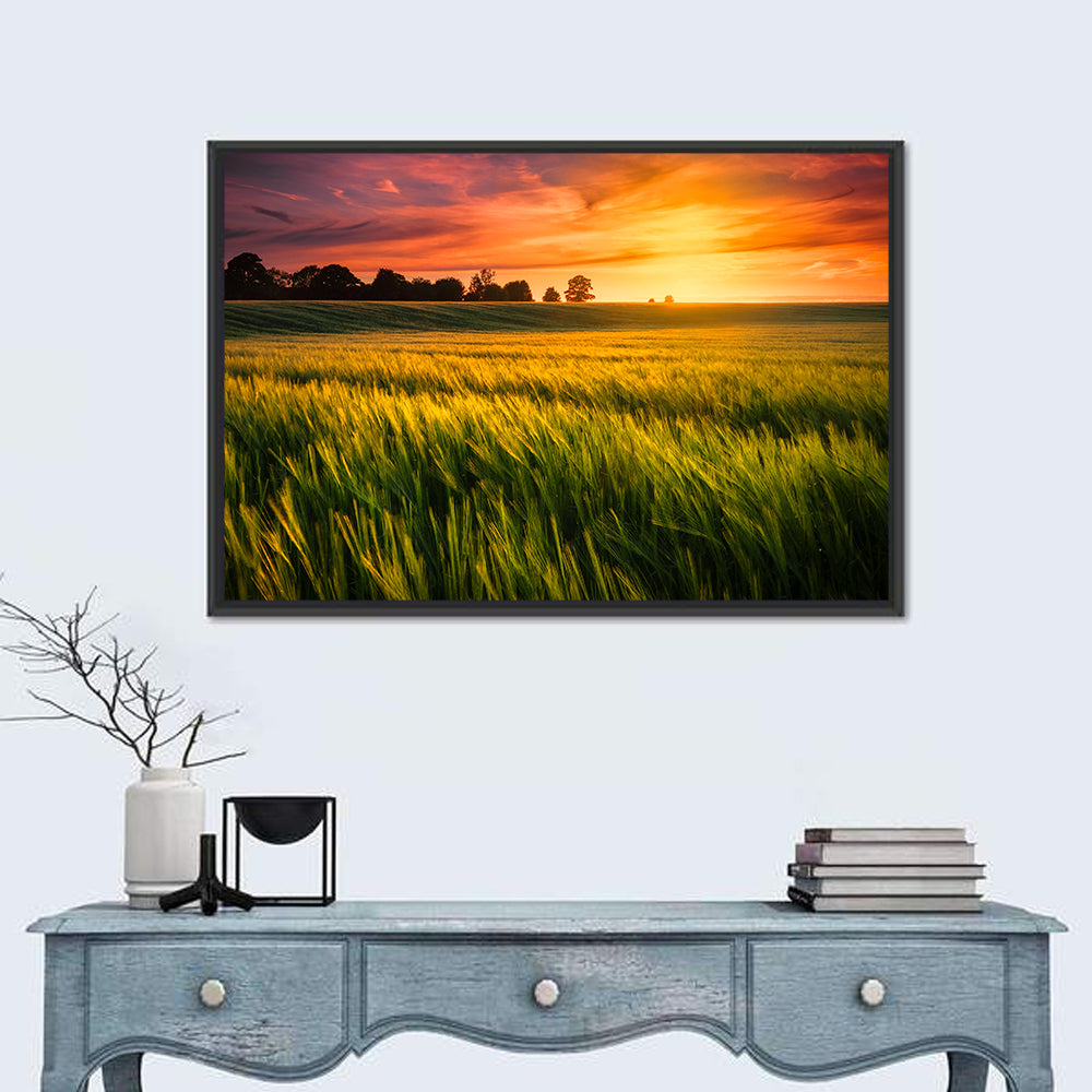 Wheat Field at Golden Hour Wall Art