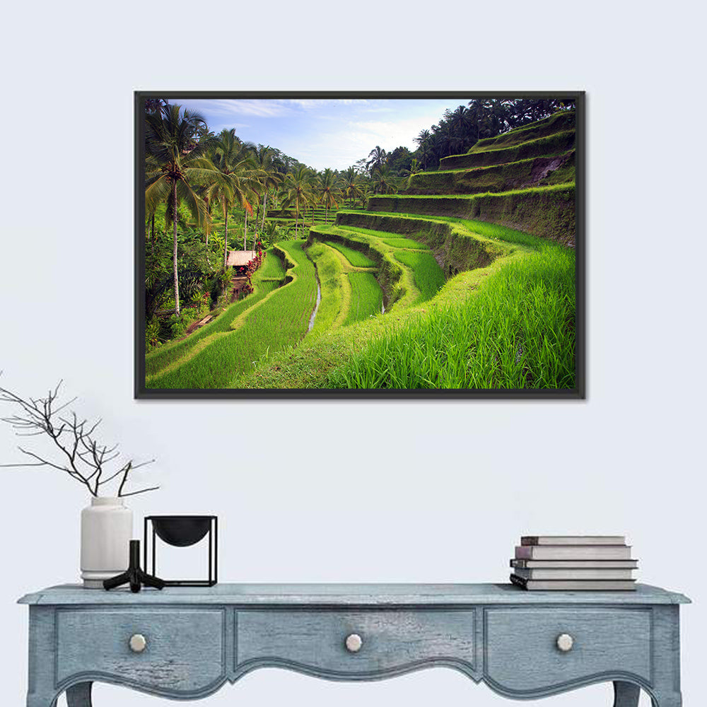 Tegallalang Rice Terraces Wall Art