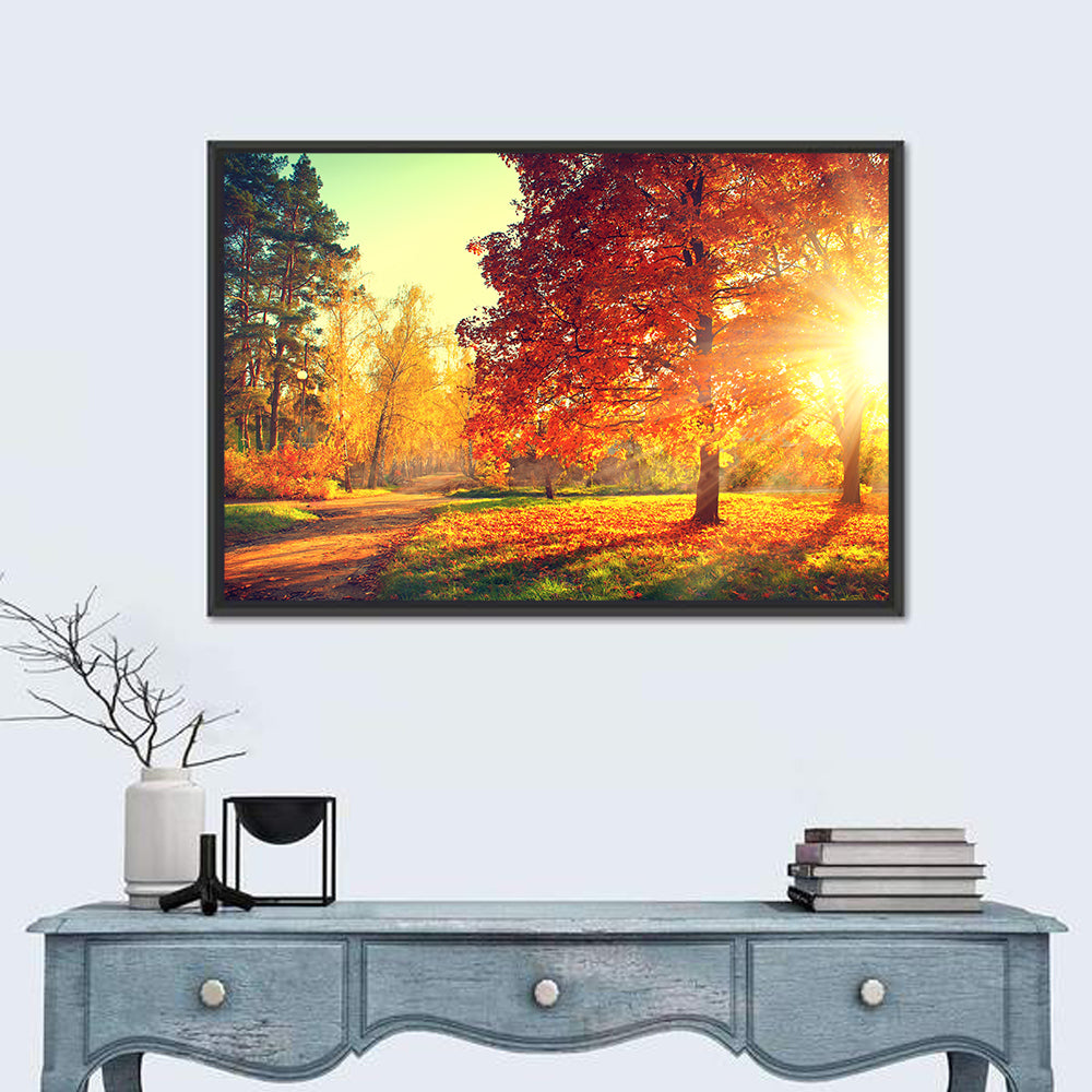 Sunlit Autumn Forest Path Wall Art