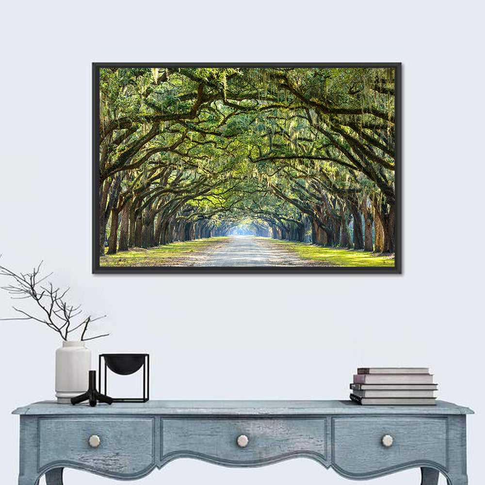 Wormsloe Plantation Oak Tunnel Wall Art in a room, landscape