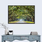 Wormsloe Plantation Oak Tunnel Wall Art
