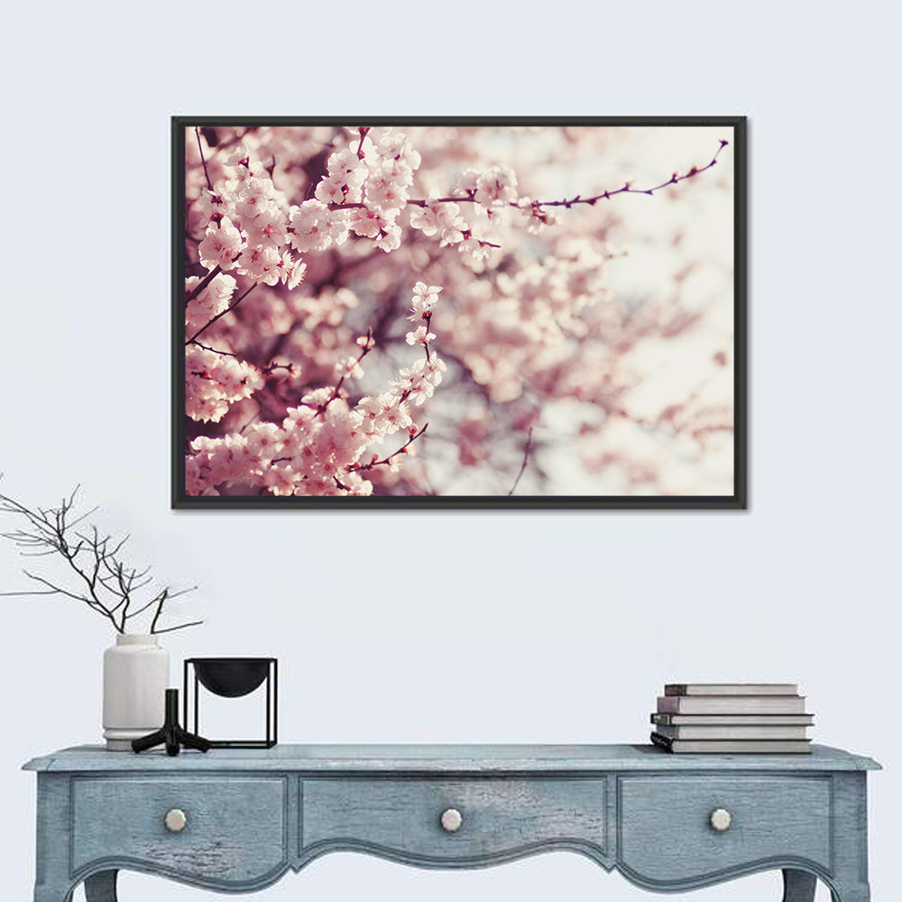 Pink Cherry Blossom Close-up Wall Art