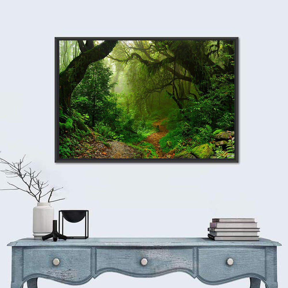 Misty Forest Trail in Nepal Wall Art in a room, landscape
