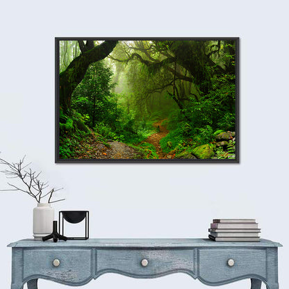 Misty Forest Trail in Nepal Wall Art