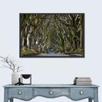 Dark Hedges Tree Tunnel Wall Art