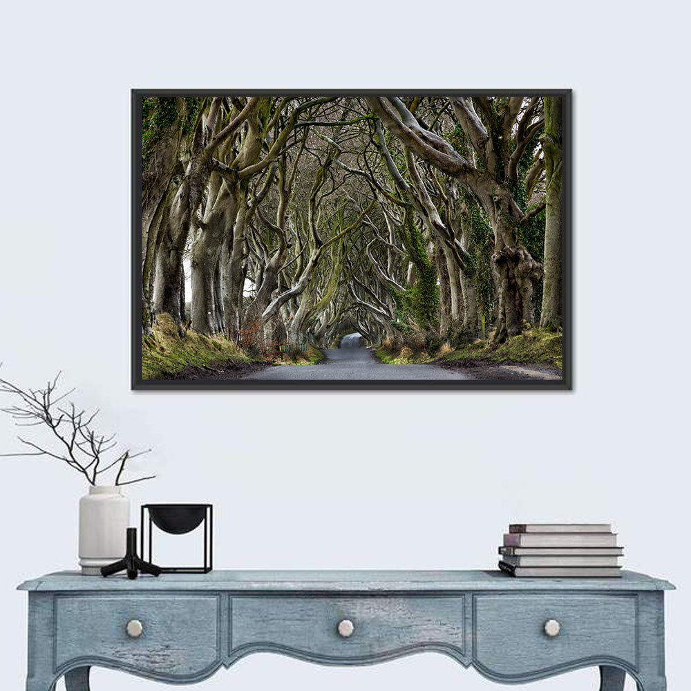 Dark Hedges Tree Tunnel Wall Art