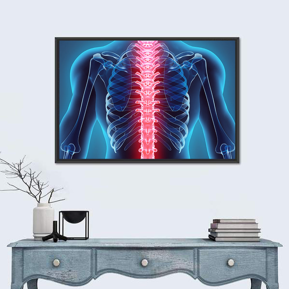 Human Spine Anatomy Illustration Wall Art
