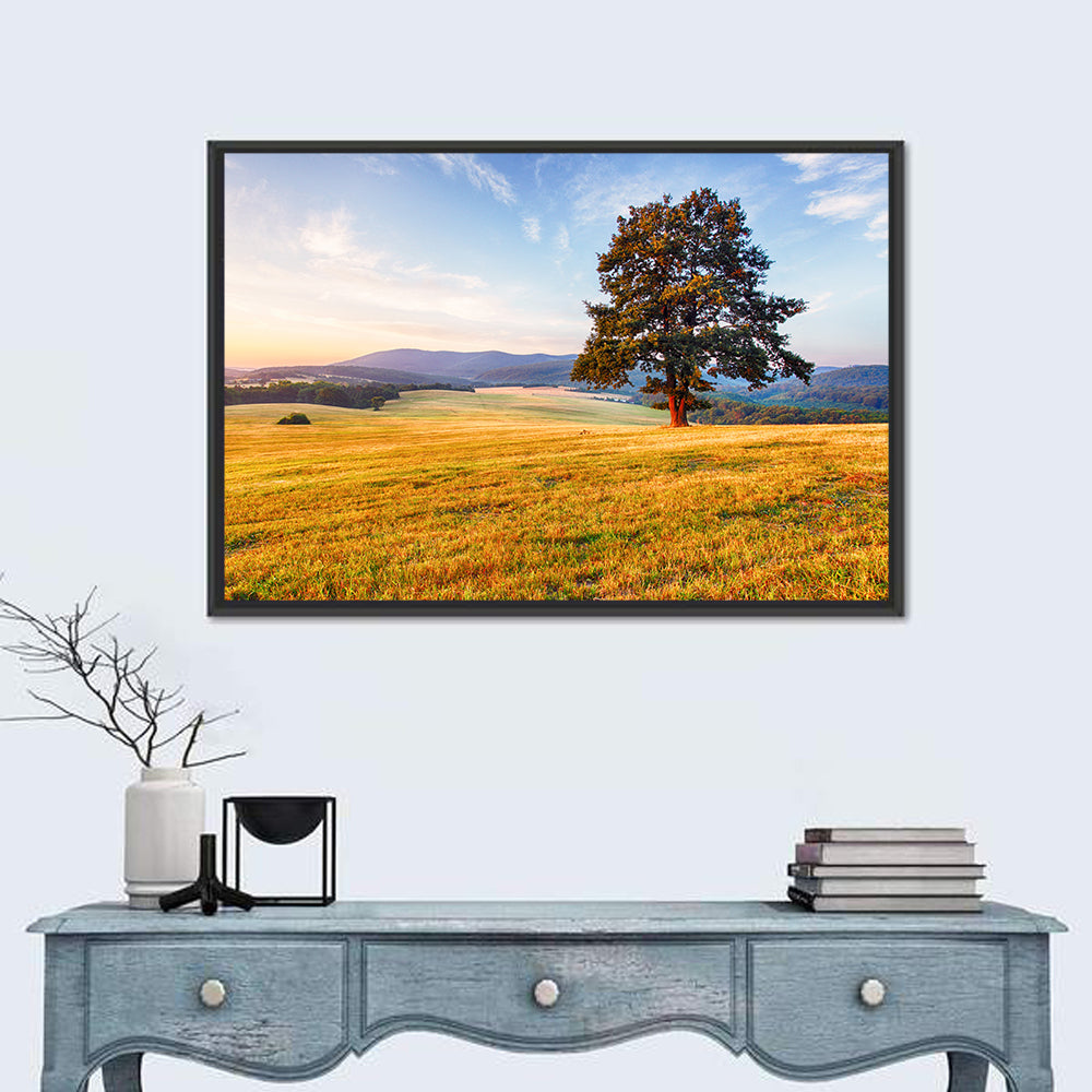 Golden Hour Meadow with Lone Tree Wall Art in a room, landscape