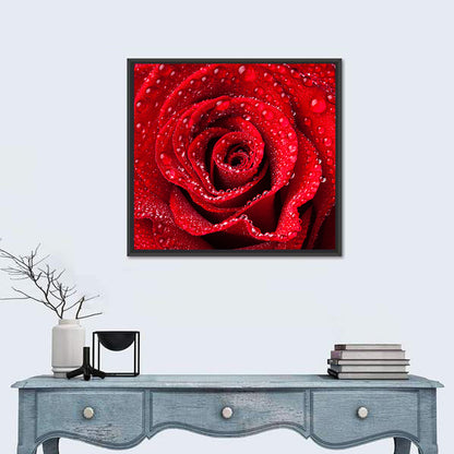 Dew-kissed Red Rose Closeup Wall Art