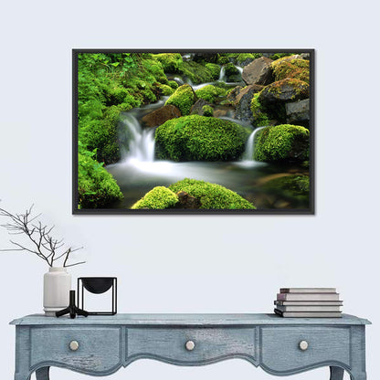 Mossy Mountain Stream Wall Art