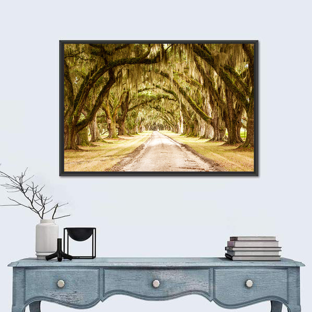 Oak Pathway Under Spanish Moss Wall Art
