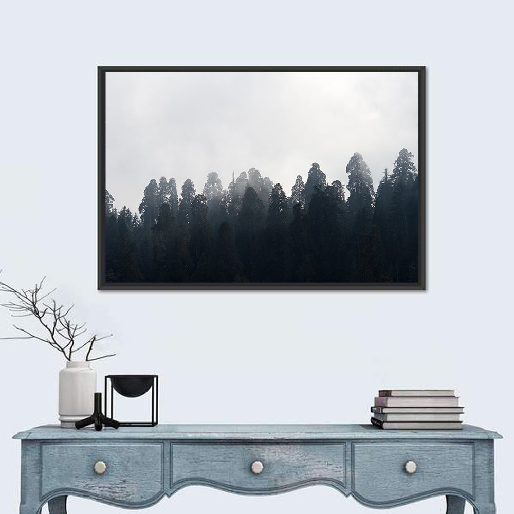 Redwood Forest in Mist Wall Art in a room, landscape