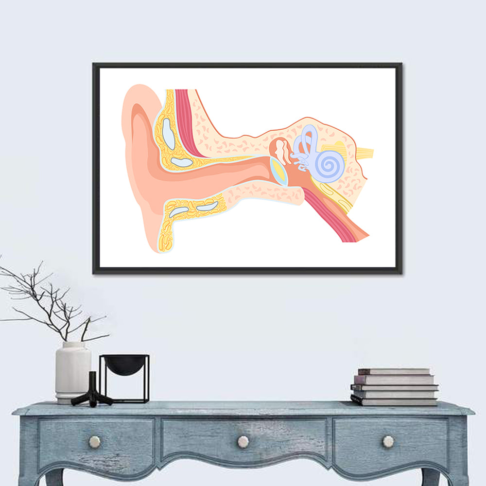 Human Ear Cross-section Diagram Wall Art in a room, landscape