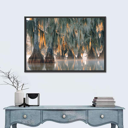 Bald Cypress Trees With Hanging Spanish Moss Wall Art