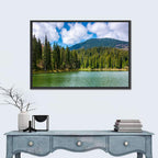 Synevir Mountain Lake Wall Art