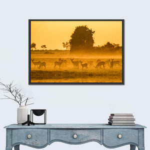 Antelope Group At Sunset Wall Art