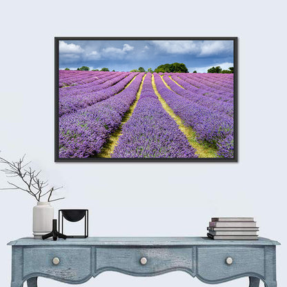 Banstead Lavender Field Wall Art