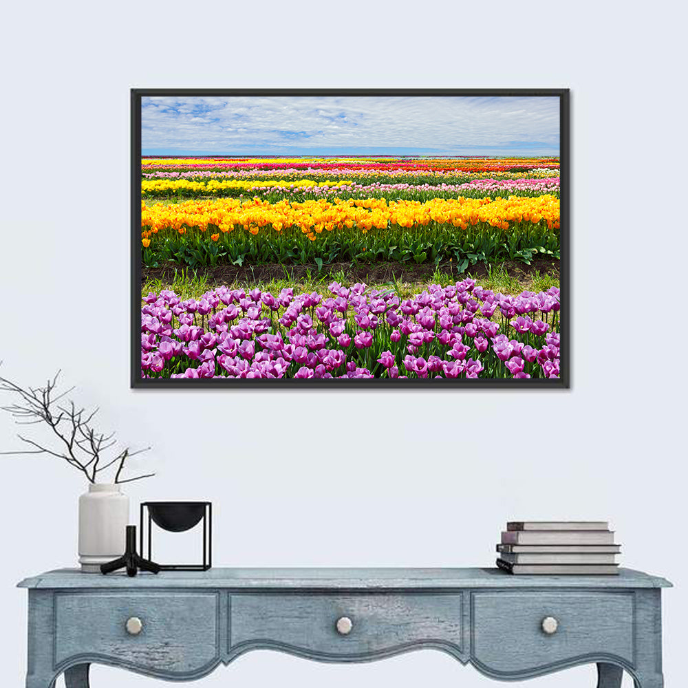 Rows of Colorful Tulip Fields Wall Art in a room, landscape