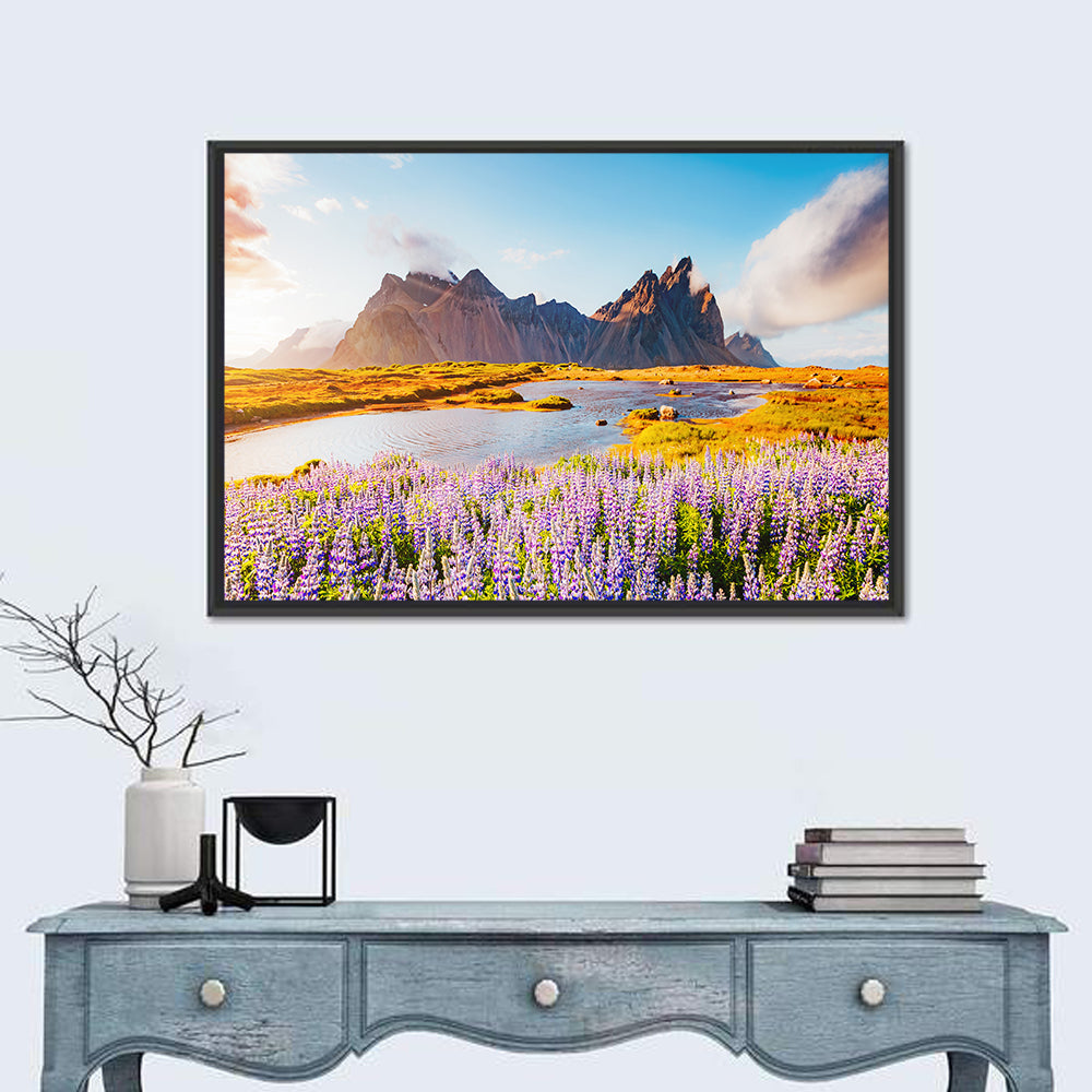 Lupine Fields at Vestrahorn Wall Art in a room, landscape