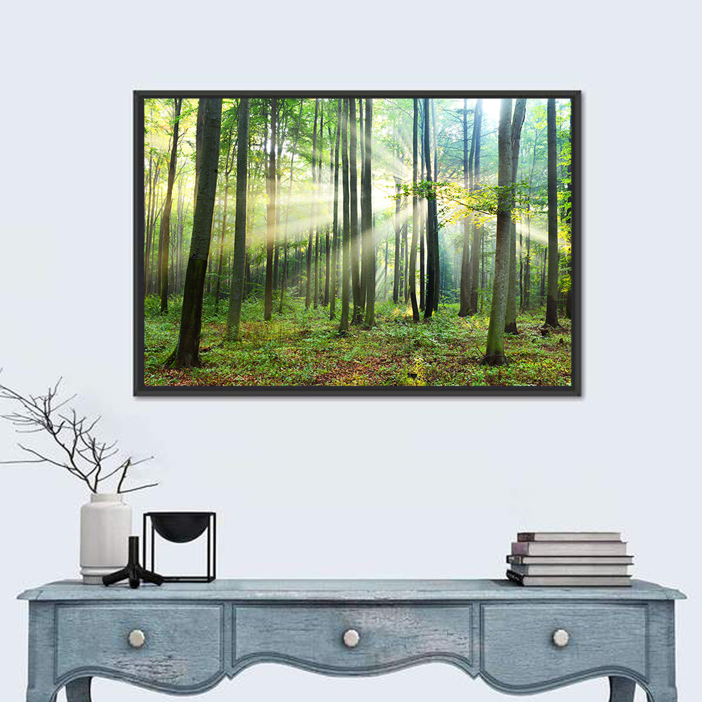 Morning Light in the Forest Wall Art