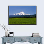 Mount Hood Meadow View Wall Art